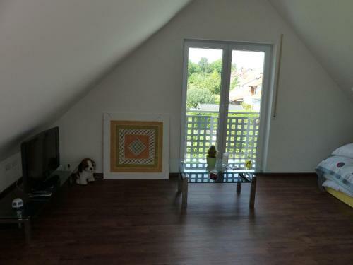 Quiet Private Room In Freiburg