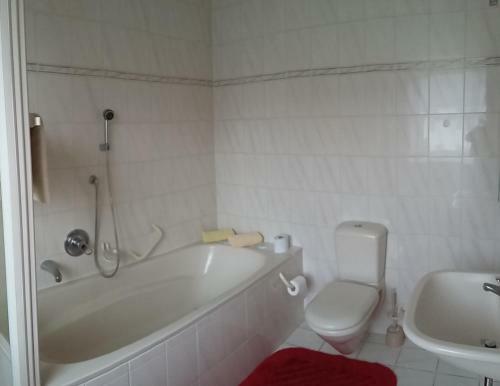 Hostal Traditionsgasthof Zum Luedertal