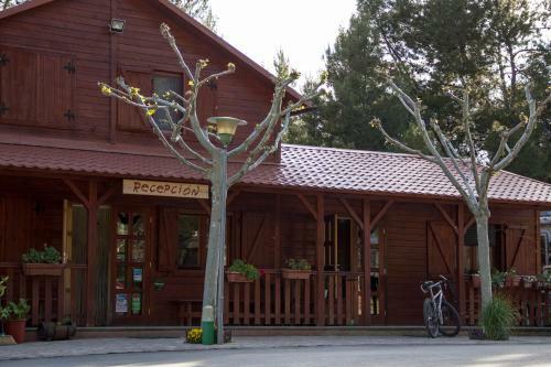 Camping Ciudad De Albarracin