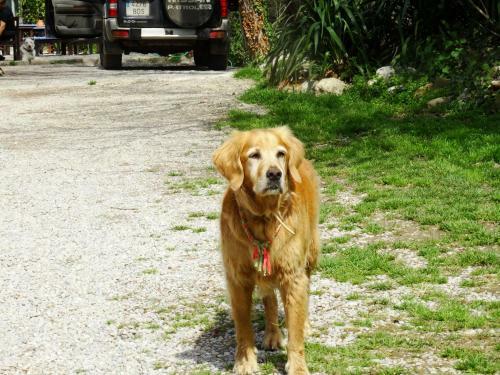 Agroturismo Mas Torrencito Pet Friendly