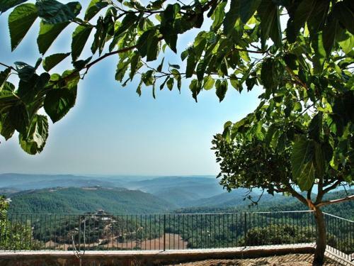 Confortable Casa Rural (1062)