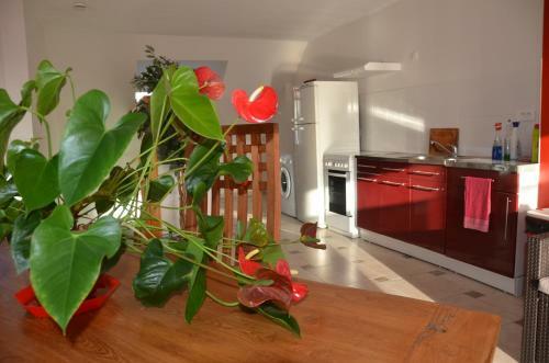 Apartamento Appart Gites Avenue De La Mer