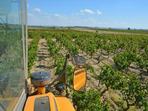 Elegant Villa In Bize-minervois With Pool