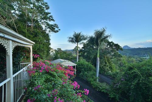 Lodge Cooroy Country Cottages