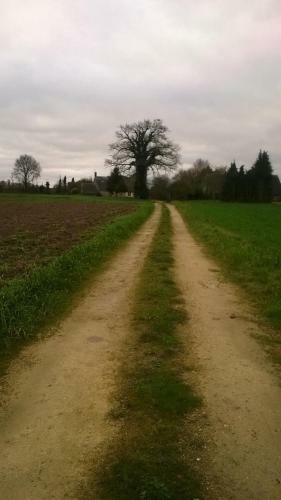 Agroturismo La Cour Du Bois