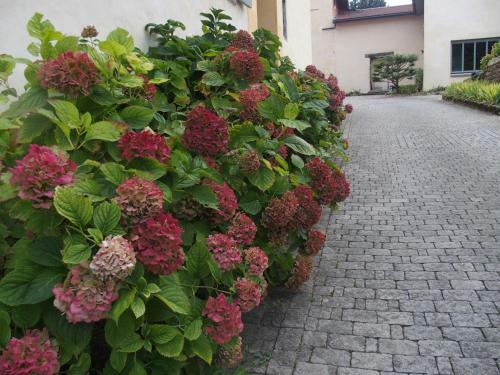 Hostal Demeure Des Monts D'or