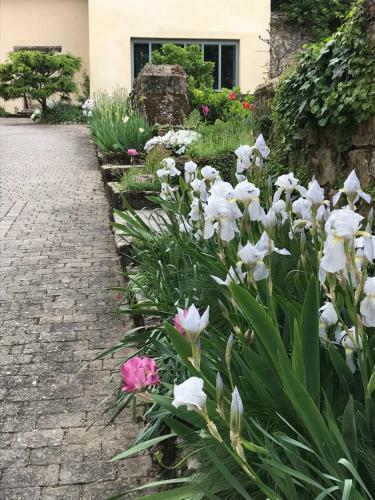 Hostal Demeure Des Monts D'or