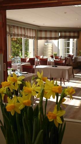 Logis Hotel Belle-vue