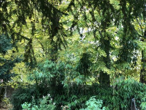 Bed & Breakfast La Villa Rochette