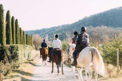 Bed & Breakfast Ferme Les Escuyers