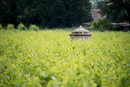 Bed & Breakfast Le Mas Des Romarins