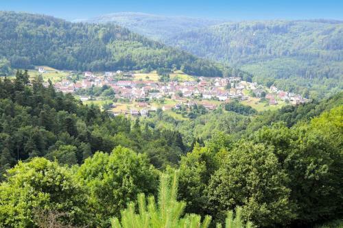 Holiday Home Haselbourg - Els05004-f