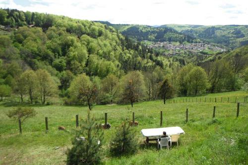 Holiday Home Haselbourg - Els05004-f