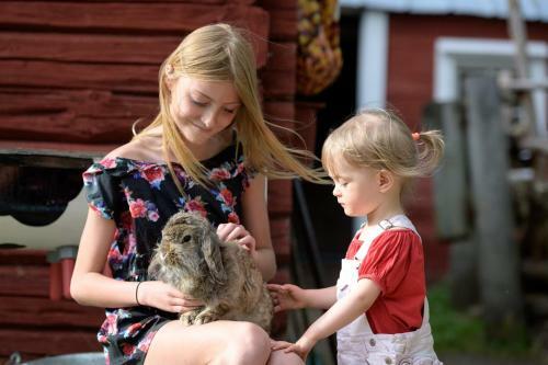 Agroturismo Maatilamatkailu Ilom�ki