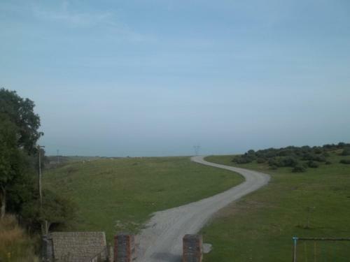 Bed & Breakfast The Curragh Country House Accommodation