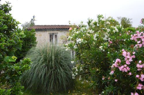 Bed & Breakfast Chambres D'h�tes Du Domaine De Lansac