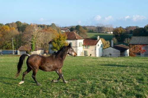 Les Deux Abbesses En Vert | La Grande Maison B&B