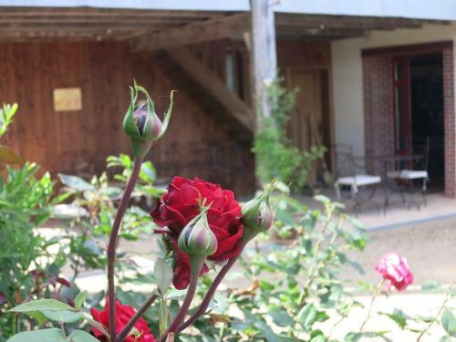 Hostal Les Jardins De Lily
