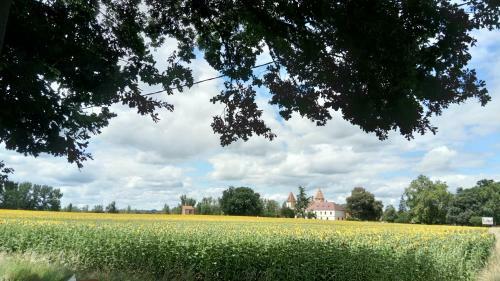 Bed & Breakfast Ch�teau De Lastours