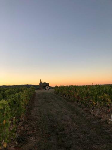 Bed & Breakfast L'abbaye Saint Michel
