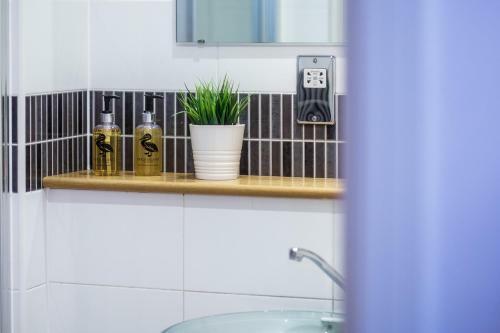 Apartamentos The President