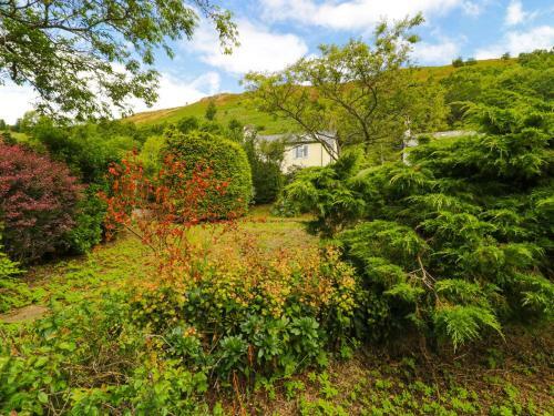 Swn Y Coed, Corwen
