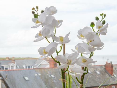 The Moorings, Conwy