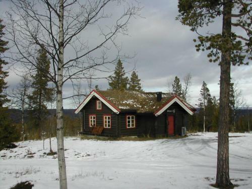 Lodge Nyst�len Hyttegrend