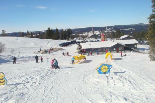 Lodge Nyst�len Hyttegrend