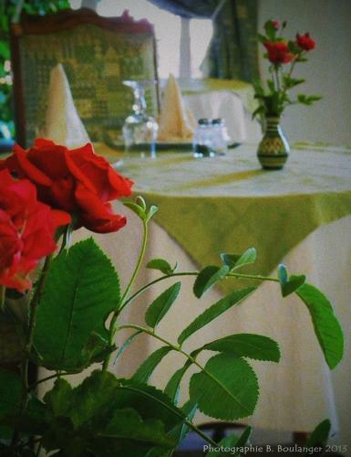 Hotel H�tel Des Cascades Ecolodge