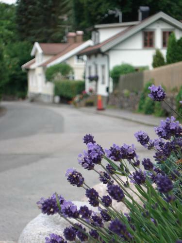 Albergue Nordiska Folkh�gskolan Bed And Breakfast