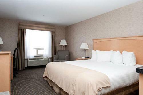 Hotel Paradise Inn And Suites