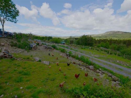 Holiday Home Ganllwyd