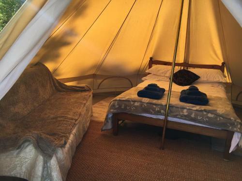 Bell Tent - Upper View