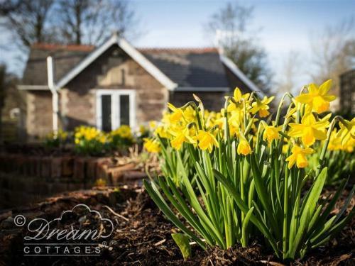 Frome Lodge House, Dorchester