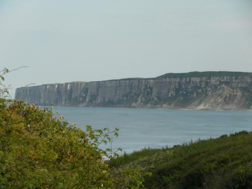 Nett's Coastal Escape, Filey