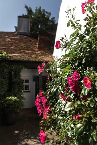 Bed & Breakfast The Jasmine Room