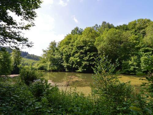 Holiday Home La Buresse Bouillonnoirefontaine