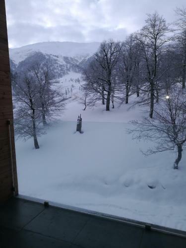 Apartment 311 In The Valley Bakuriani