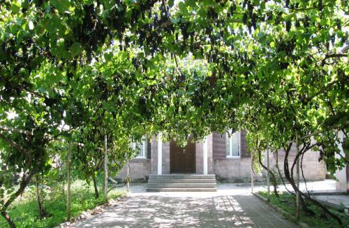 Hostal Olimpo Guest House