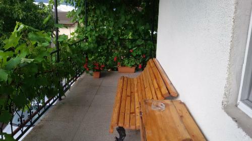 Hostal Olimpo Guest House