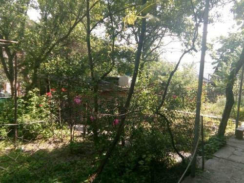 Apartamento Guest House Borjomi