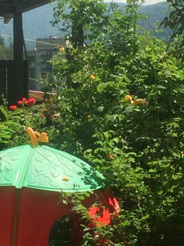 Hostal Hotel Victoria-panorama