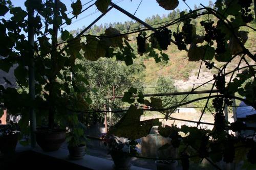 Hotel Guest House Nima