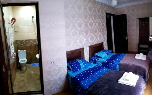 Hotel North Kazbegi