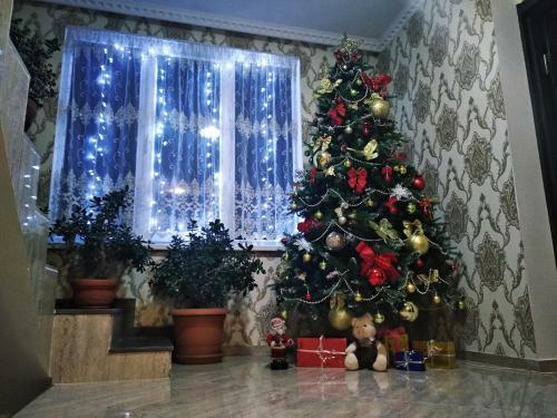 Hostal Sophia's Guest House