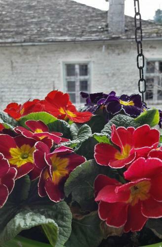 Hostal Gaia Guesthouse