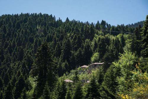 Hostal Montanema Handmade Village