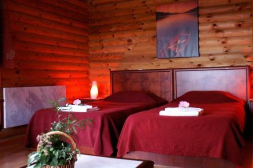 Hotel Dionysus Village Resort