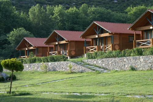 Hotel Dionysus Village Resort